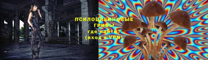 Галлюциногенные грибы MAGIC MUSHROOMS  Волхов 